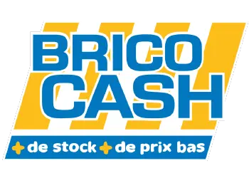 clients Retail Campus - Formations retail_Brico Cash